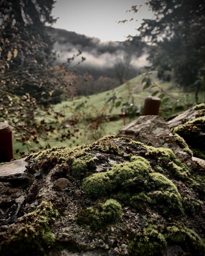 Abury, Tables Et Chambres , Randos Et Bien Etre A La Montagne Barcus Exteriér fotografie