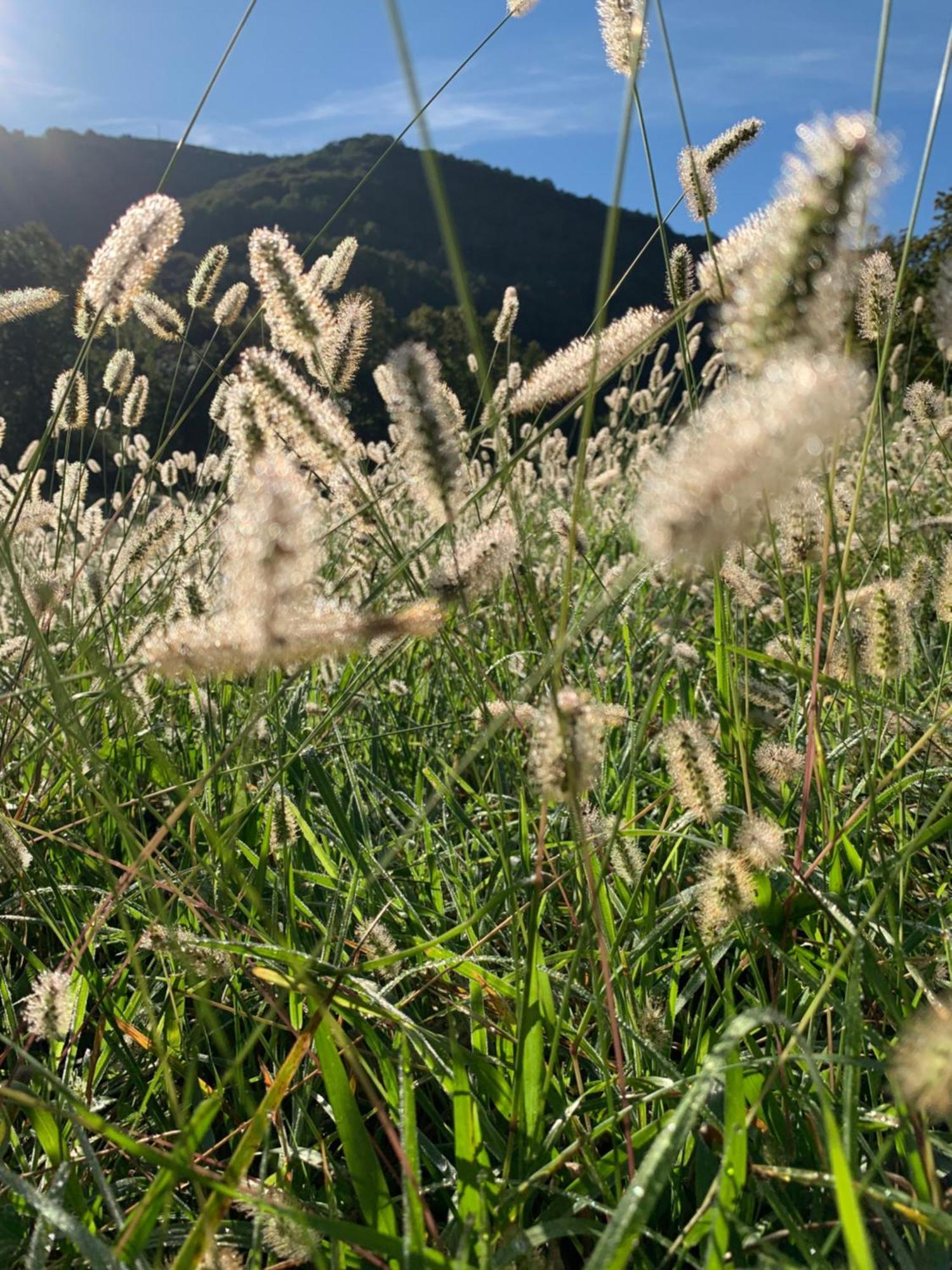 Abury, Tables Et Chambres , Randos Et Bien Etre A La Montagne Barcus Exteriér fotografie