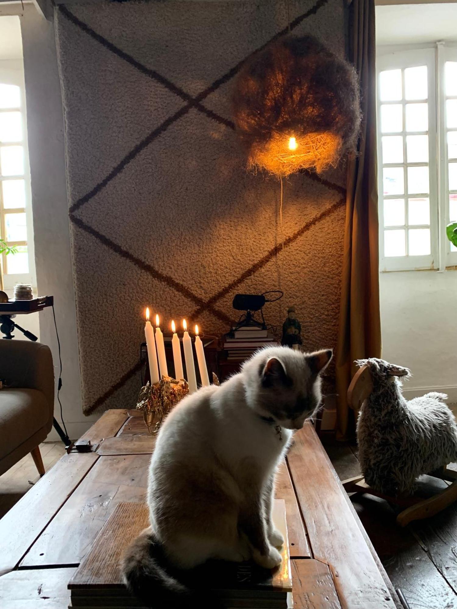 Abury, Tables Et Chambres , Randos Et Bien Etre A La Montagne Barcus Exteriér fotografie